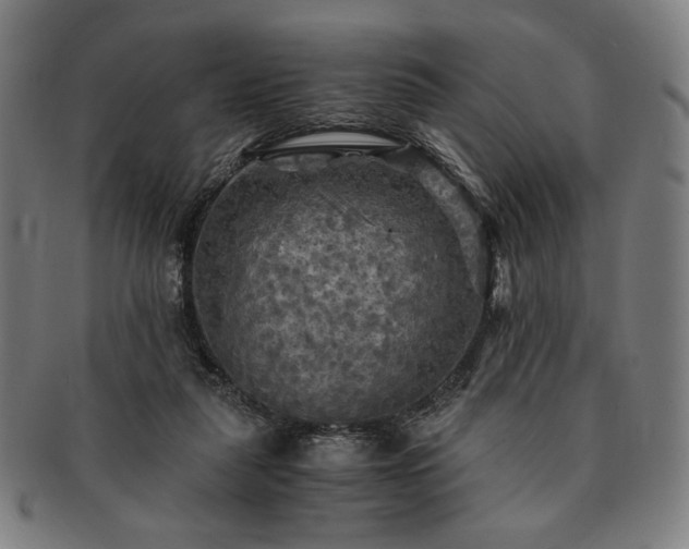 X0000091480259200708231406