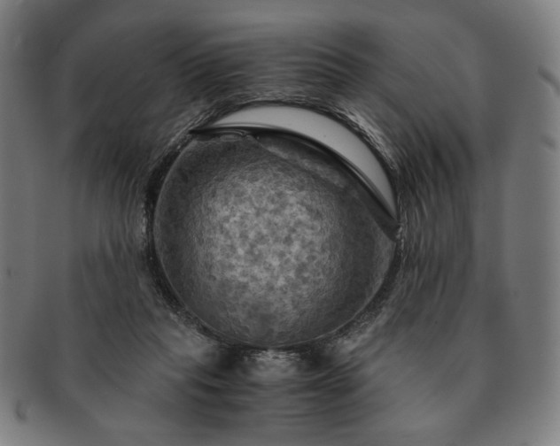 X0000091480261200708231406