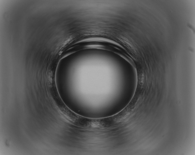 X0000091480264200708231406