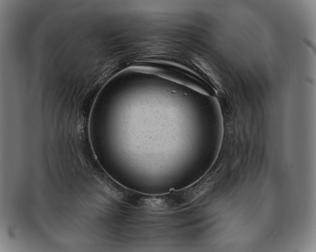 X0000091480265200708231406