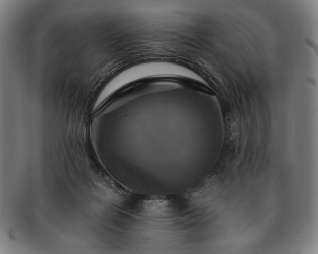 X0000091480266200708231406