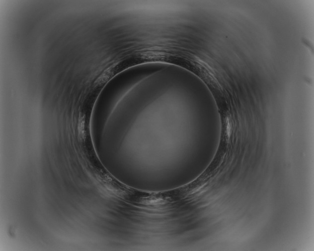 X0000091480267200708231406