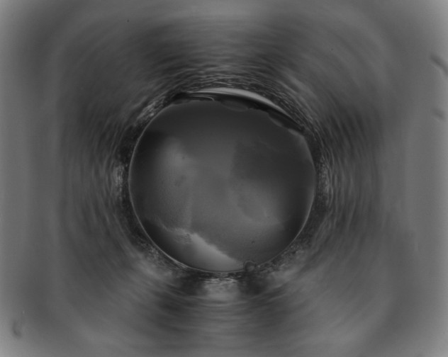 X0000091480271200708231406