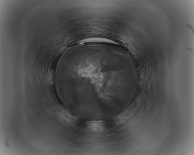 X0000091480273200708231406