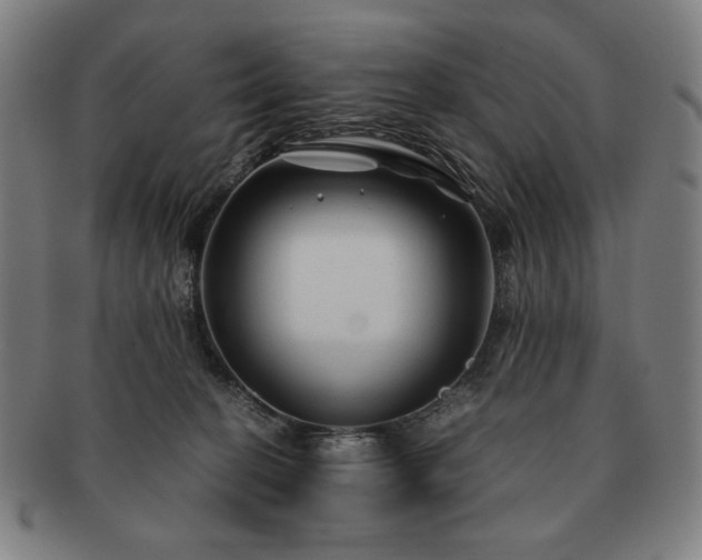 X0000091480274200708231406