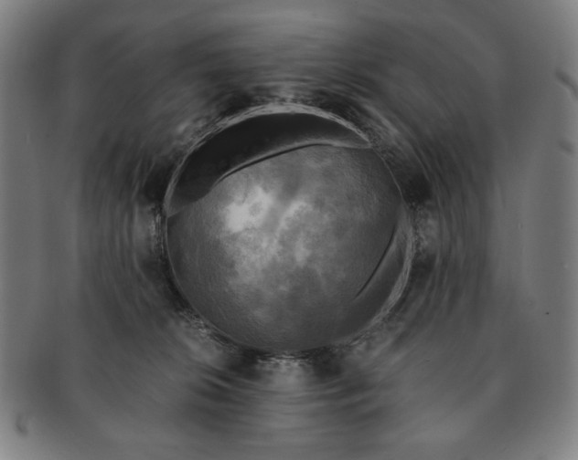 X0000091480276200708231407