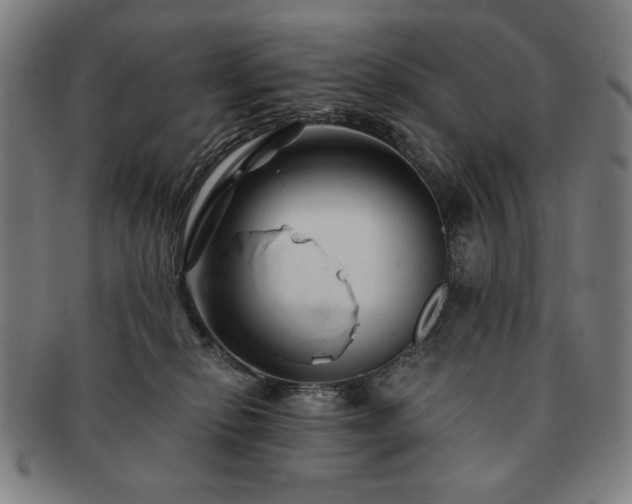 X0000091480278200708231407