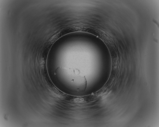 X0000091480279200708231407