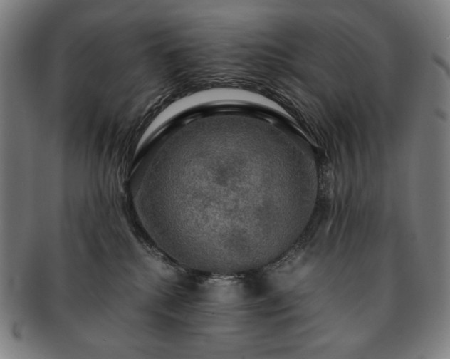 X0000091480280200708231407