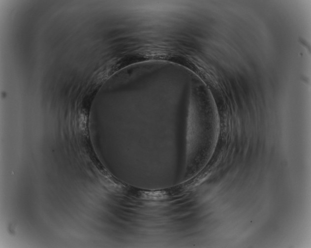 X0000091480281200708231407