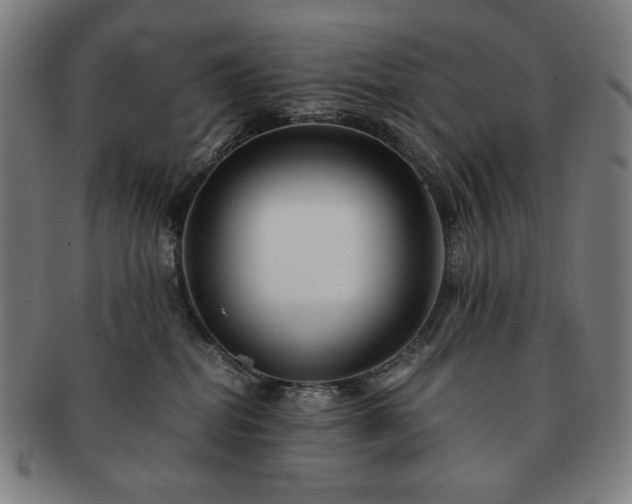 X0000091480282200708231407