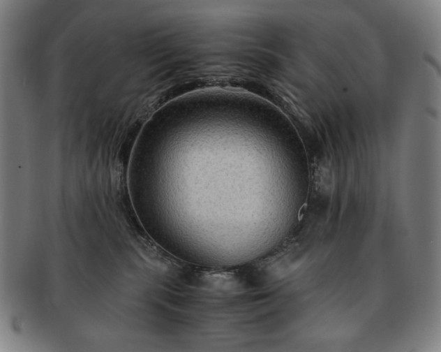 X0000091480283200708231407