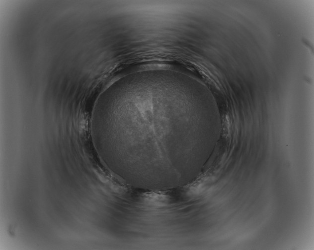 X0000091480284200708231407