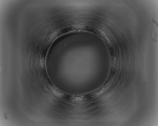 X0000091480285200708231407