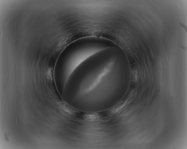 X0000091480286200708231407