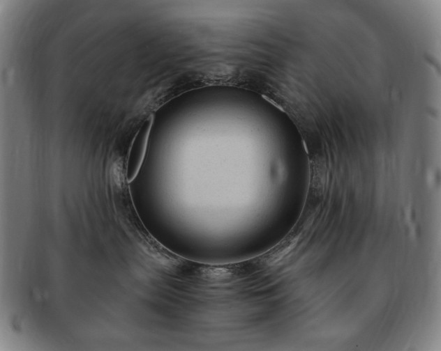 X0000091480287200708231407