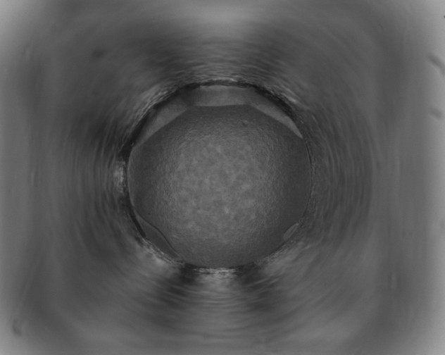 X0000091480288200708231407