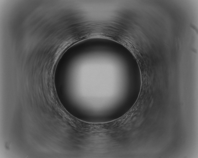 X0000091480289200708231406