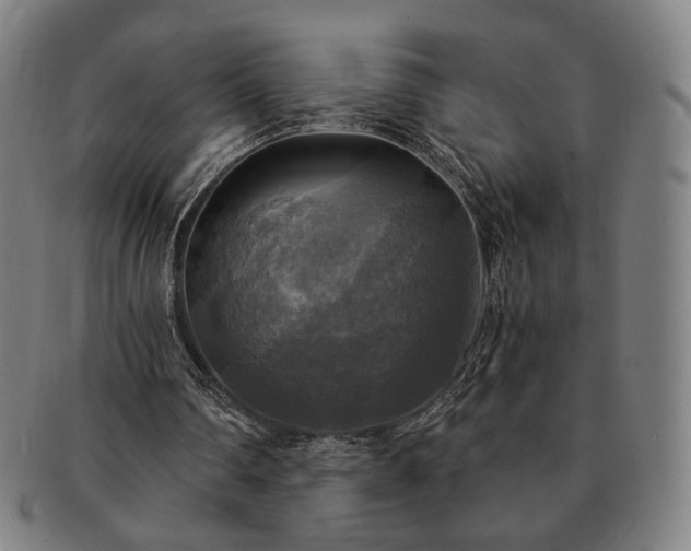 X0000091480290200708231406