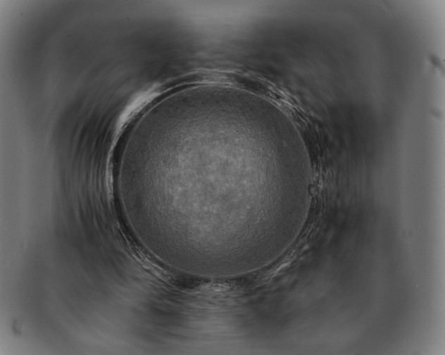 X0000091480294200708231406