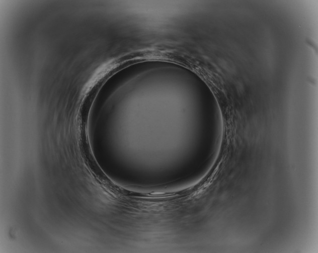 X0000091480295200708231406