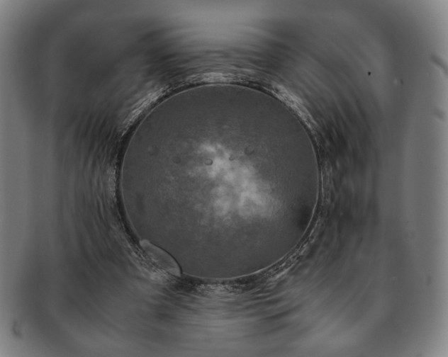 X0000091480297200708231406