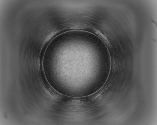 X0000091480298200708231406