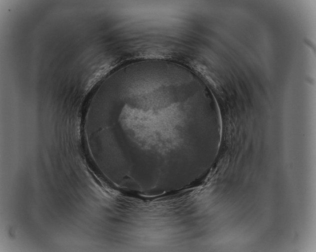 X0000091480299200708231406