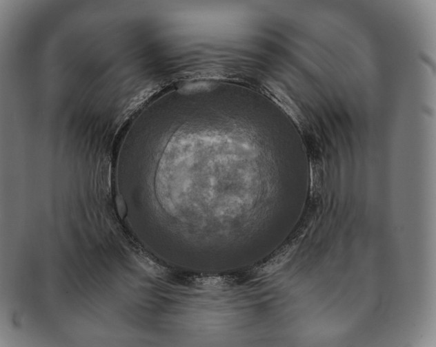 X0000091480301200708231406