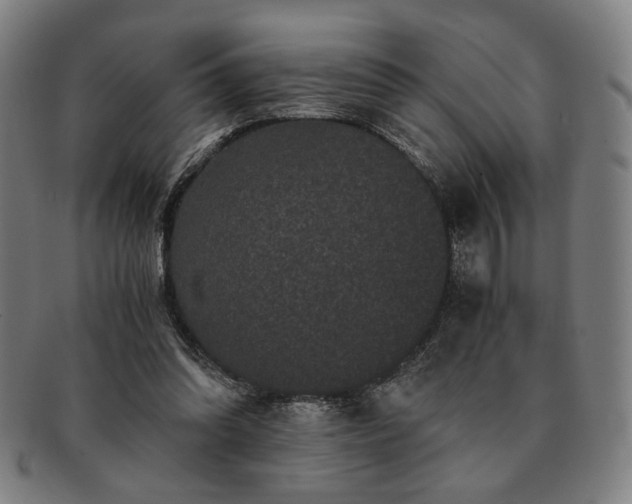 X0000091480302200708231406