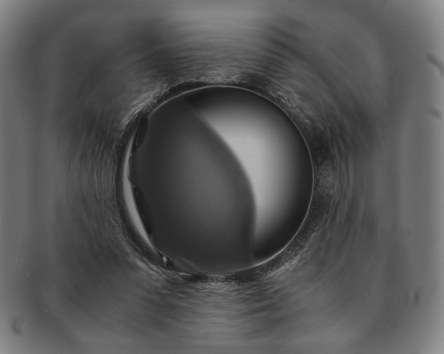 X0000091480303200708231406