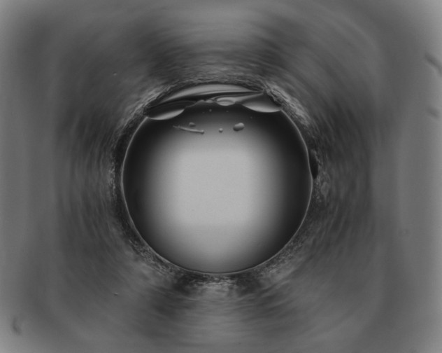 X0000091480306200708231406