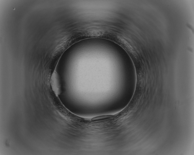 X0000091480307200708231406