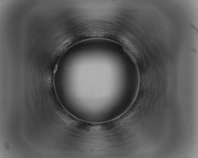 X0000091480309200708231406