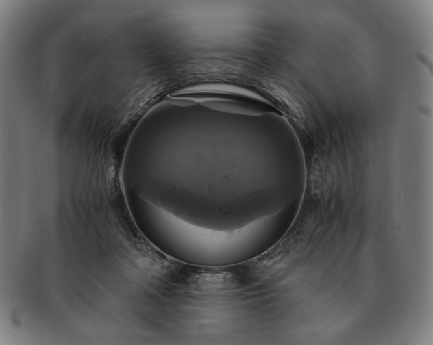 X0000091480314200708231406