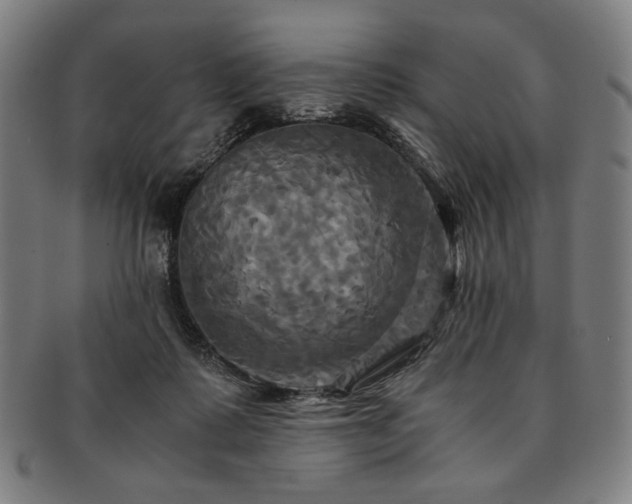 X0000091480315200708231406