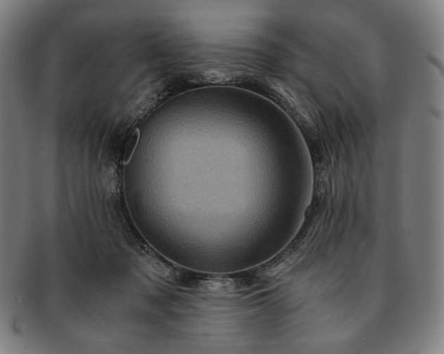 X0000091480317200708231406