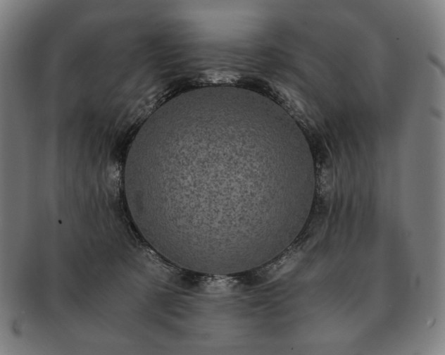 X0000091480321200708231406