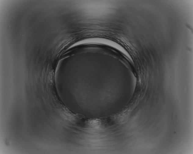 X0000091480325200708231406