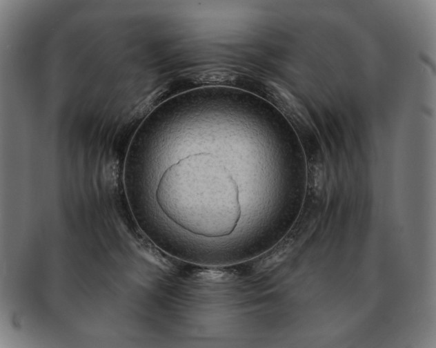 X0000091480326200708231406