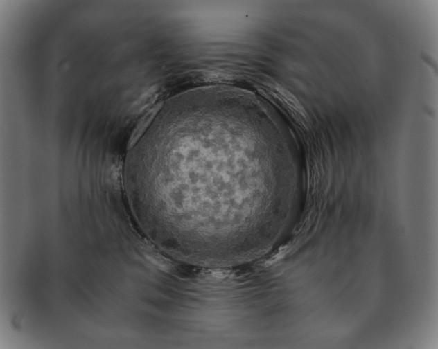 X0000091480329200708231405