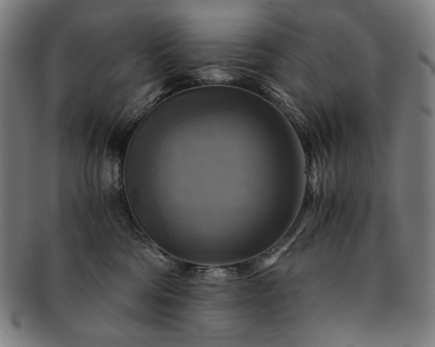 X0000091480330200708231405