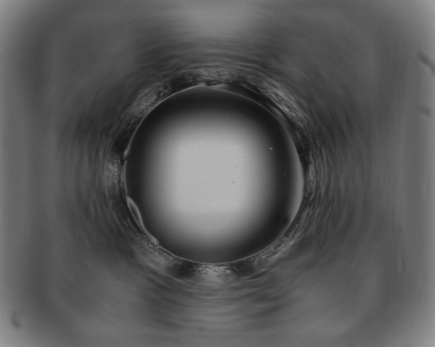 X0000091480333200708231405