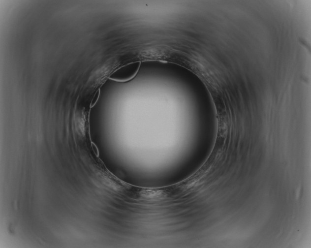 X0000091480334200708231405