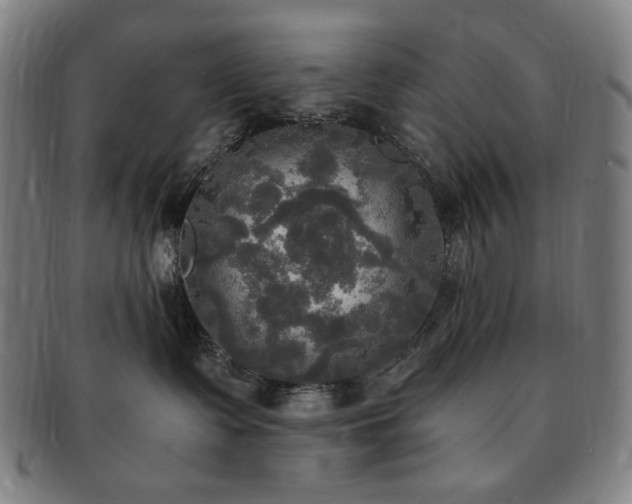 X0000091480335200708231405