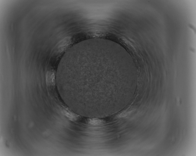 X0000091480336200708231405