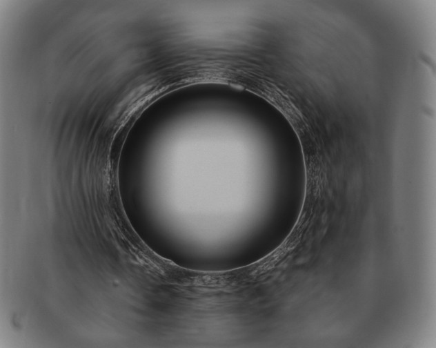 X0000091480338200708231405