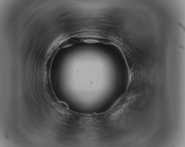 X0000091480339200708231405