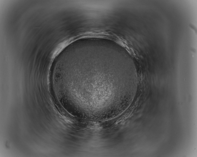 X0000091480340200708231405