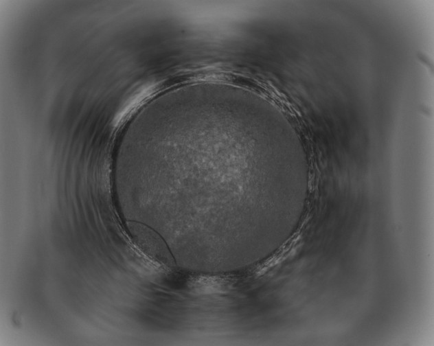 X0000091480341200708231405